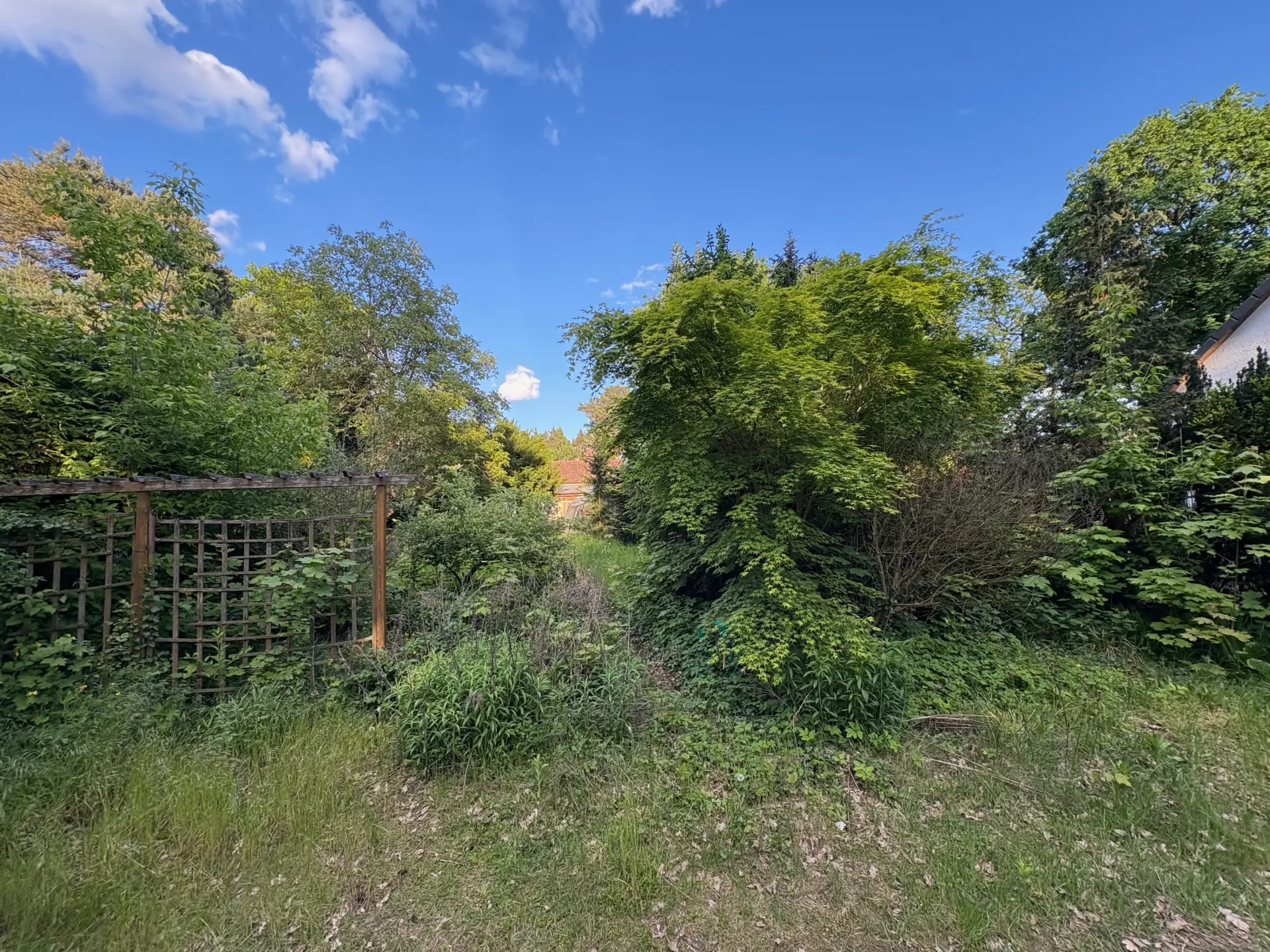 Blick ins Grundstück